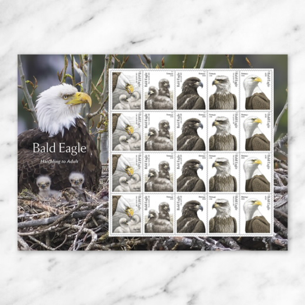 (2026) Bald Eagle: Hatchling to Adult Forever Stamps, Sheet of 20